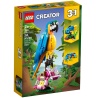 Le perroquet exotique - LEGO® Creator 3-en-1 31136