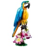 Le perroquet exotique - LEGO® Creator 3-en-1 31136