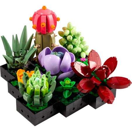 Les succulentes - LEGO® Botanical Collection 10309