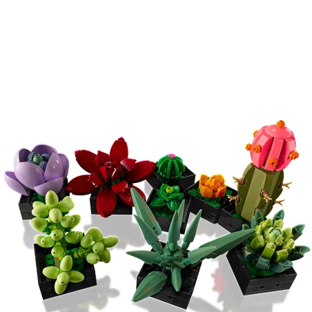 Les succulentes - LEGO® Botanical Collection 10309