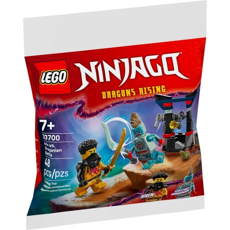 Combat entre Arin et le Draconique - Polybag LEGO® Ninjago 30700