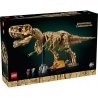Les fossiles de dinosaures : le Tyrannosaurus rex - LEGO® Jurassic World 76968