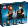 Harry Potter and Hermione Granger™ - LEGO® Harry Potter 76393
