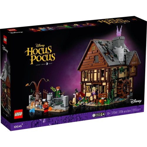 Disney Hocus Pocus: The...