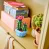 Cactus fleuri - LEGO® Botanicals 11509