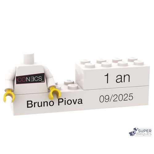 Lot de pièces personnalisées