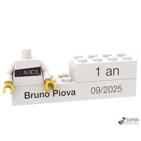 Lot de pièces personnalisées