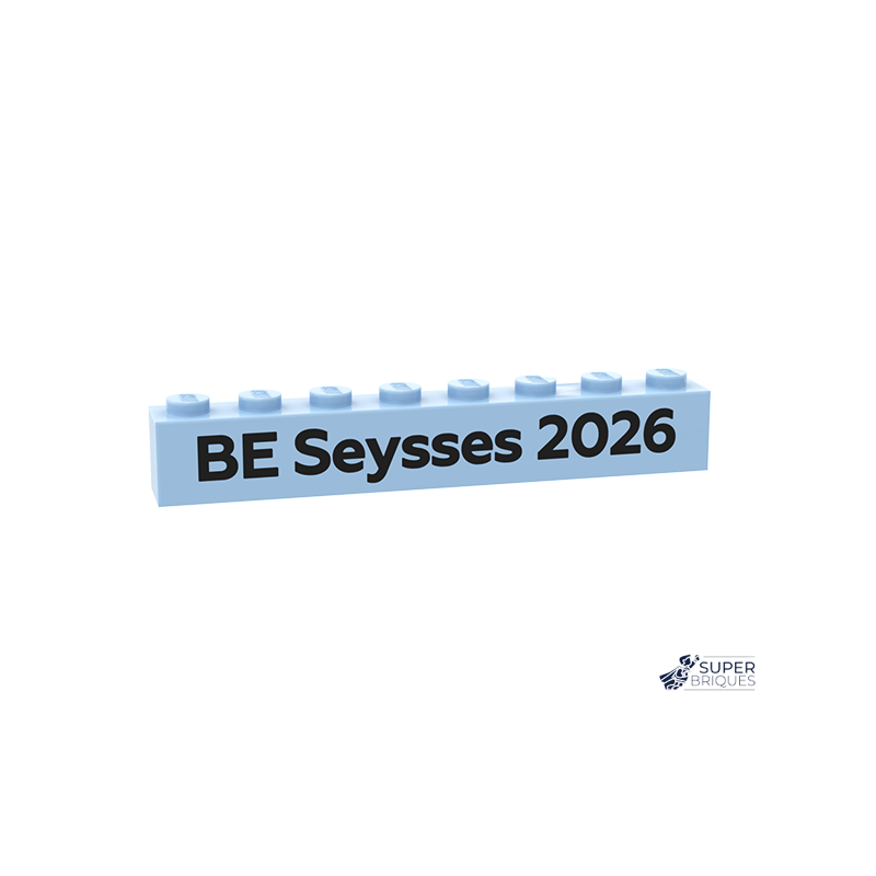 Lot de pièces LEGO® personnalisées