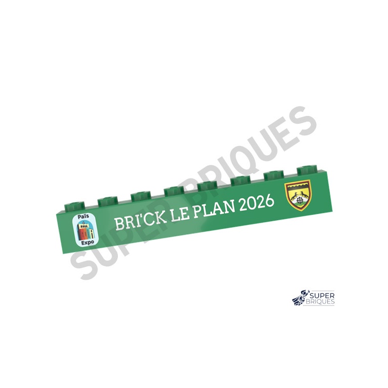 Lot de pièces LEGO® personnalisées