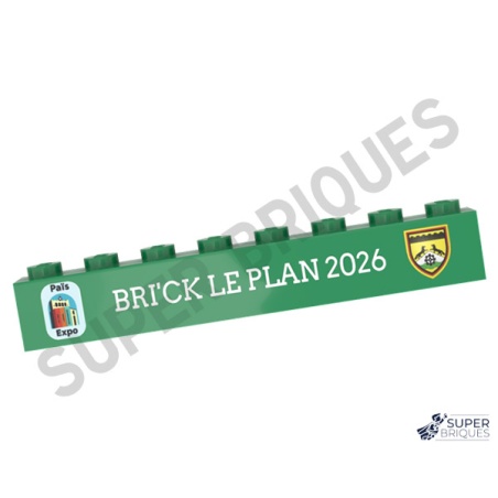 Lot de pièces LEGO® personnalisées