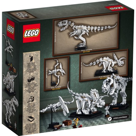 Les fossiles de dinosaures - LEGO® Ideas 21320