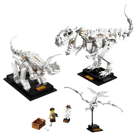 Les fossiles de dinosaures - LEGO® Ideas 21320
