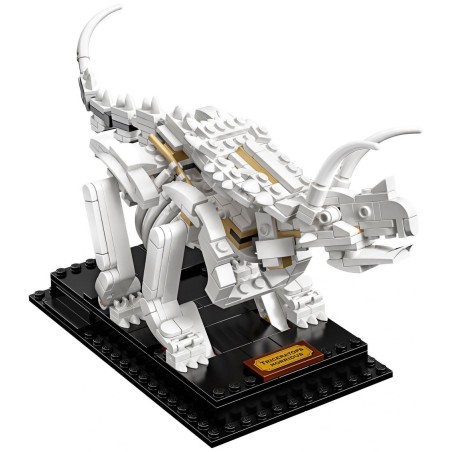 Les fossiles de dinosaures - LEGO® Ideas 21320
