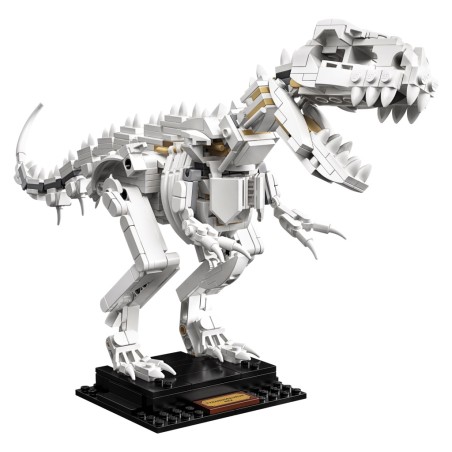 Les fossiles de dinosaures - LEGO® Ideas 21320