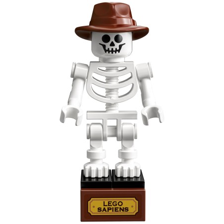 Les fossiles de dinosaures - LEGO® Ideas 21320