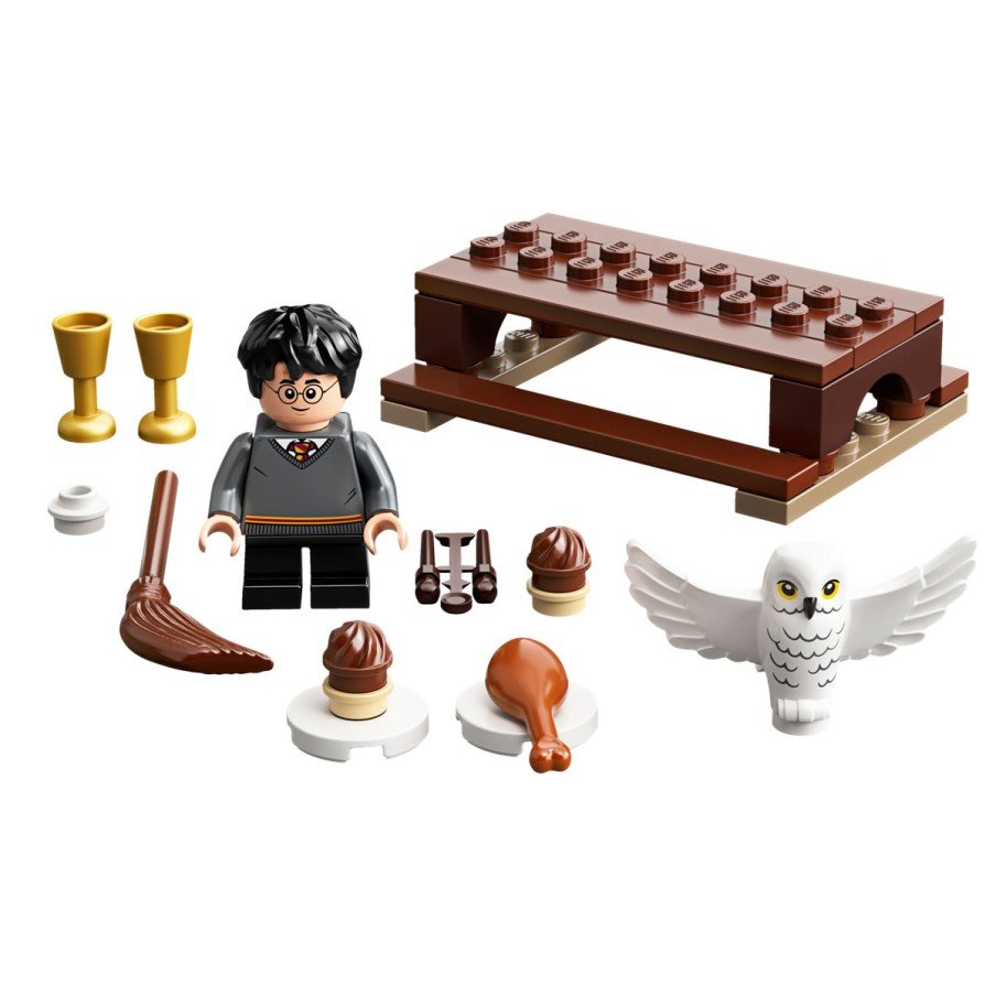 Harry Potter et Hedwige - Polybag LEGO® Harry Potter 30420 - Super Briques