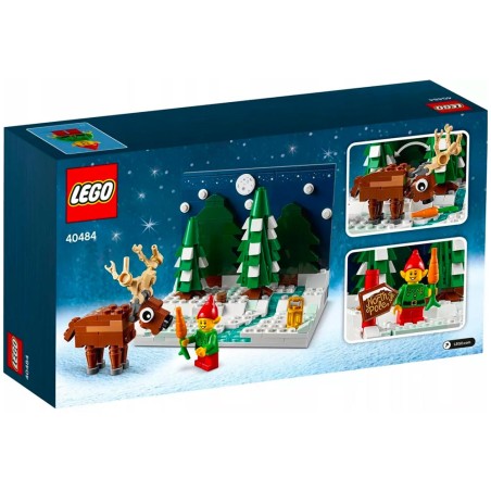 Le jardin du Père Noël - LEGO® Exclusif 40484