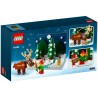 Le jardin du Père Noël - LEGO® Exclusif 40484