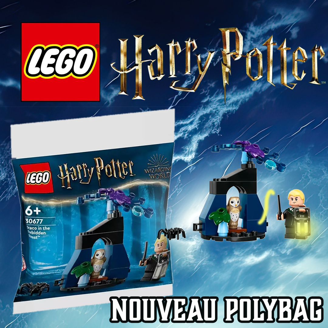 Polybag collector Harry Potter 30677