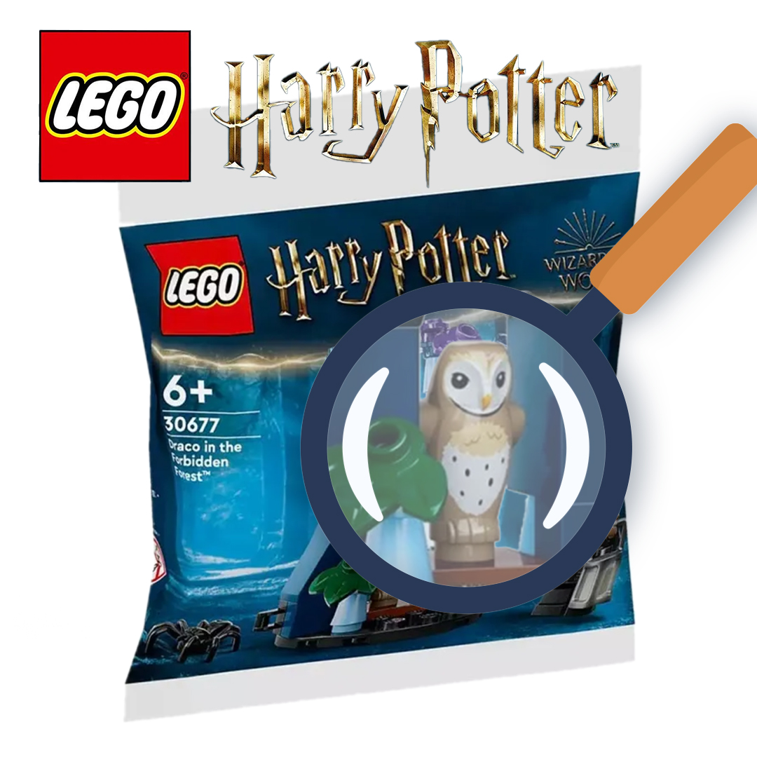 Chouette Harry Potter LEGO®