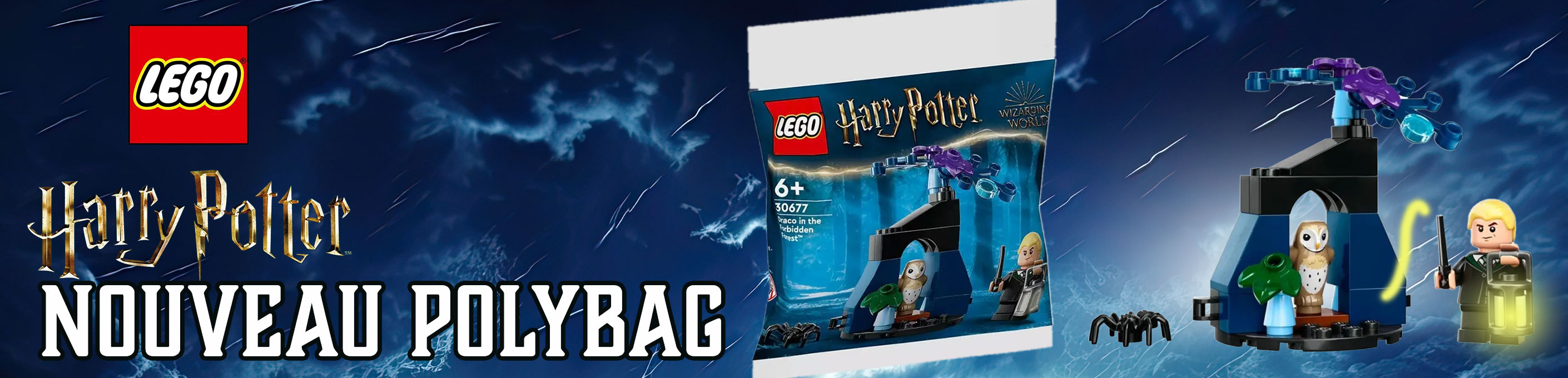 Harry Potter LEGO® 30677